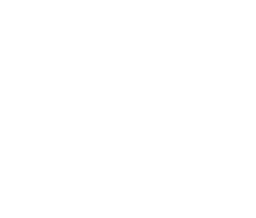 Брџа